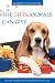 The Gifts Animals Can Give: If you do not have a pet now, You will want one after reading