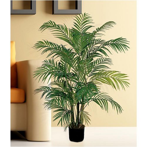 C. Alan 5001 Areca Silk Palm Tree 4′