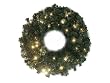 30" Pre-Lit Battery Operated LED Lighted Christmas Wreath - Warm Clear Lights