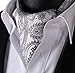 SetSense Men's Paisley Jacquard Woven Self Cravat Tie Ascot