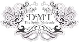 DMT: The Spirit Molecule DVD (NTSC)