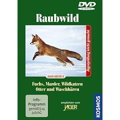 Raubwild - Fuchs/Marder/Wildkatzen/Otter/Wasch..