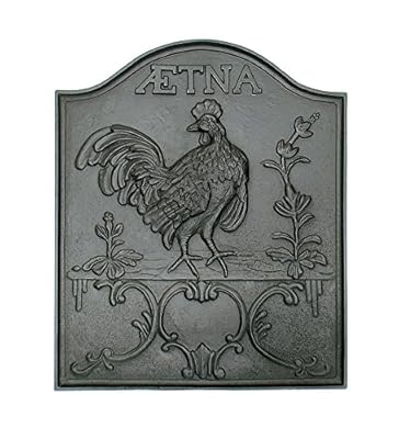 Aetna Cast Iron Fireplace Fireback In Matte Black Finish
