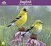 The Hautman Brothers Songbirds 2010 Wall Calendar