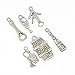 PH PandaHall 30pcs 6 Styles Tibetan Alloy Antique Silver Wine-Tasting Theme Pendants Charms for DIY Necklace Bracelet Making (Wine, Bottle, Bottle Opener, Cup)