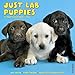 2016 Just Lab Puppies Wall Calendar