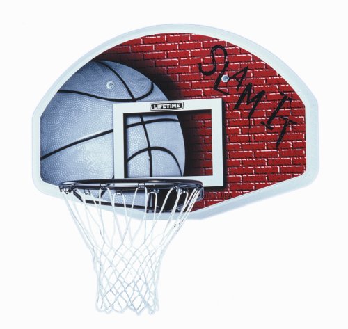 Lifetime Hoop Time Backboard & Goal