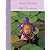 Anne Geddes 2007 Datebook