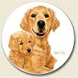 AutoCoaster ~ Golden Retriever ~ Tile Drink Coaster for car cupholder - code 832