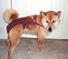 Joybies PiddlePlaid Piddle Pants(tm) for Large Male Dog (Measuring 17-19 from Collar to Base of Tail)