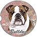 E&S Pets Bulldog Coaster, 3