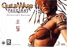 Guild Wars: Factions...