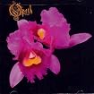 Orchid