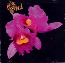 Orchid