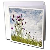 Danita Delimont - Minnesota - Prairie clover, Crow Hassan County Park, Minnesota - US24 RSP0007 - Rob Sheppard - 12 Greeting Cards with envelopes (gc_91469_2)