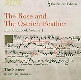 Rose & The Ostrich Feather