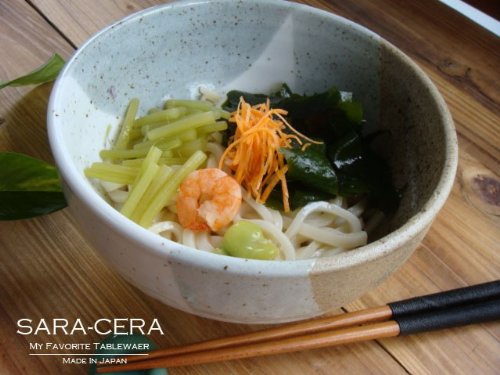 わかめタップリ冷やしうどん 川面石目どんぶり わかめタップリ冷やしうどん 川面石目どんぶり