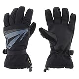 IMAGE OF Volcom Wooly Nylon Gore-Tex Gloves 2012