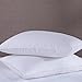 puredown Goose Feather Down Bed Pillows for Sleeping with 2 Outer Protectors, Hotel Standard/Queen Pillows Set of 2 with Cotton Fabric Cover (Pack of 2)