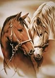 Schmidt - 57073 - Puzzles - Au Haras - 1000 Pièces