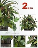 TWO Pre-Potted 12 Croton Pothos Mixed Artificial Plants for Home Decoration