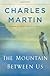 The Mountain Between Us: A Novel