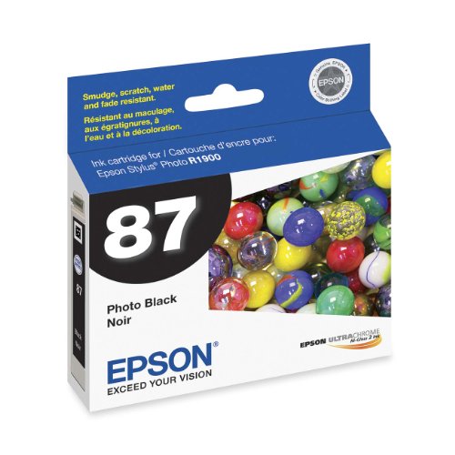Epson UltraChrome Hi-Gloss 87 Inkjet Cartridge (Photo Black) (T087120)