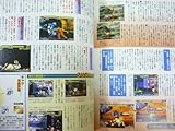 ザ・キング・オブ・ファイターズ’99完全攻略マニュアル (Geibun mooks (No.226))-