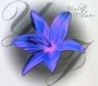 Violet Flower