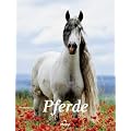 Pferde 2012