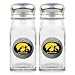 Iowa Hawkeyes NCAA Basketball Salt/Pepper Shaker Set