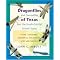 Great Insect and Spider Guides