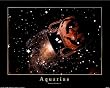 Astrology Horoscope Sign AQUARIUS Art Print POSTER NR - 20" x 16"