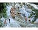 Photographic Prints of Tourists at Dunns River Falls from Robert Harding