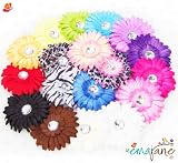 Ema Jane - Large Gerber Daisy Flower Hair Clips Only (16 Flowers, Headbands NOT Included) - Will Fit Infants, Baby, Toddlers, Girls, Youth, Newborn