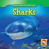 Sharks (Animals That Live in the Ocean)
