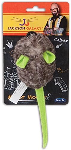 Meow! Kitty Cat Gift Box (Play Time!)