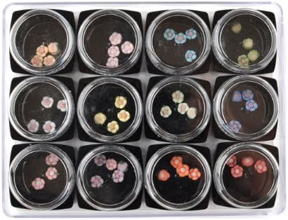 Stella Cosmetic Beauty Nail Art 12 Different Colors Flower Shape 3D 48 Pcs Decoration Kit