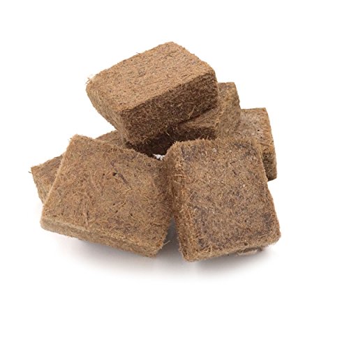 Top 5 Best charcoal lighter cubes for sale 2016 Product BOOMSbeat