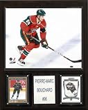NHL Pierre-Marc Bouchard Minnesota Wild Player Plaque