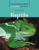 Reptile
