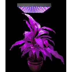 New 225 LED Grow Light Panel Hydropronic Lamp Red Bluw Mix