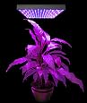 New 225 LED Grow Light Panel Hydropronic Lamp Red Bluw Mix