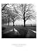 After The Rain by Harold Silverman. Size 17.73 inches width by 17.94 inches height. High Quality Art Poster Print