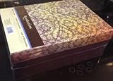 Punch Studio Blue Royal Peacock Photo Storage Box