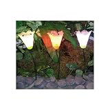 Set Of 3 Solar Tulip Lights