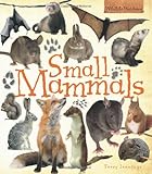 Small mammals