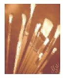 survival skills Emerging Artists Giclee Poster Print by dana lee, 20x24