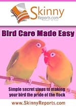 Click to Download Free Kindle Book -> Bird Care Made Easy: Simple secret steps to making your bird the pride of the flock (Skinny Report)
