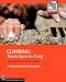 Climbing: From Gym to Crag